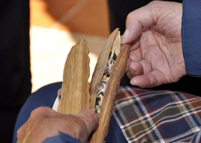 encuentro fidel-evo-maduro