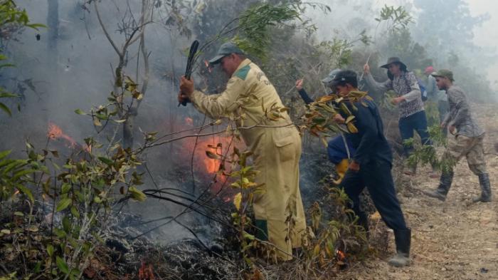 incendio forestal